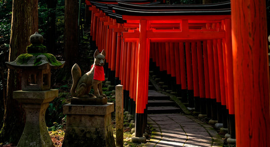 El Susurro de los Mil Torii: Un viaje al corazón sagrado de Kyoto