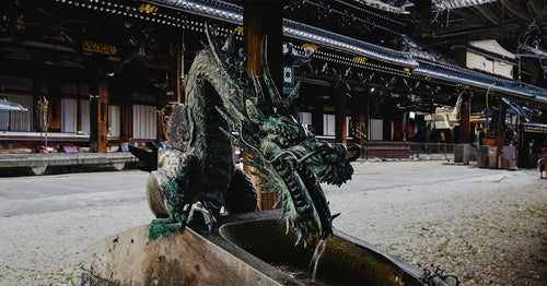Explore Kyoto Golden Pavilion & Arashiyama