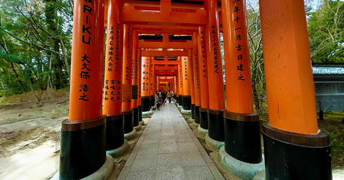 Exploring Kyoto and Nara