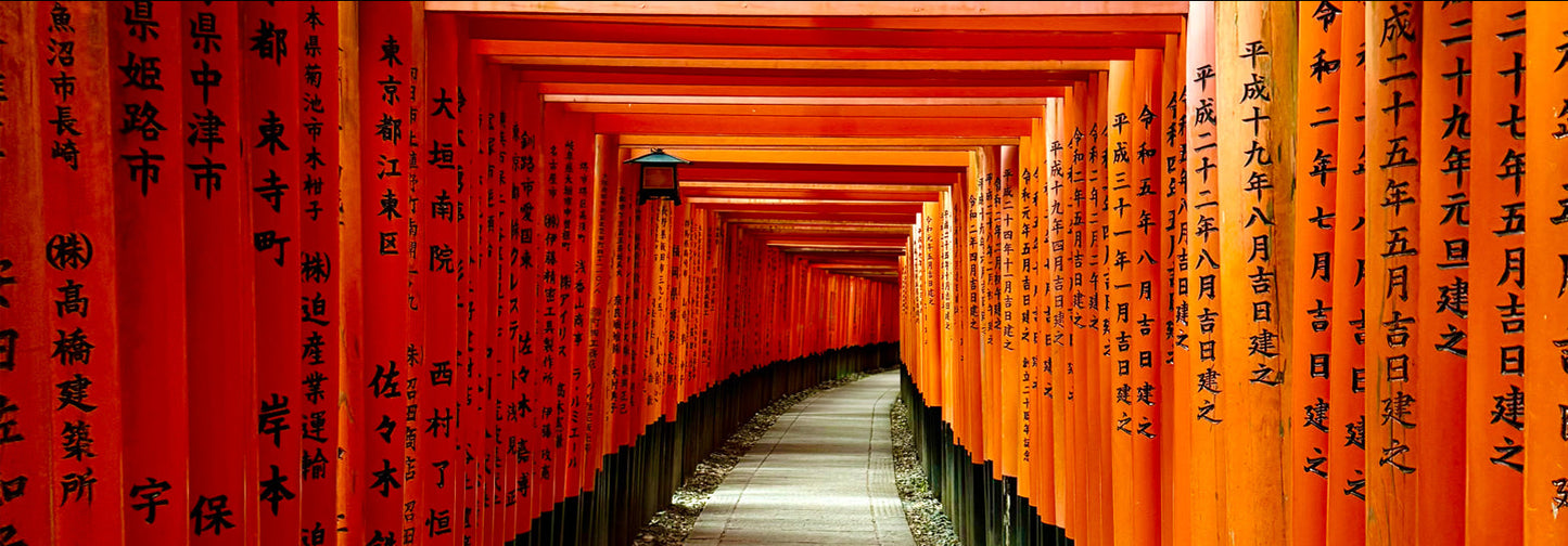 A Explorar Kyoto y Nara