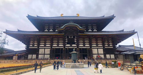 Exploring Kyoto and Nara