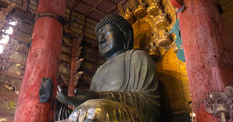Exploring Kyoto and Nara