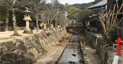 A Explorar Hiroshima & Miyajima