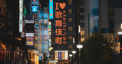 A explorar Tokyo (Noche de Neón)