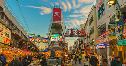 A Explorar Tokyo (Jardines Imperiales/Akihabara/Ueno)